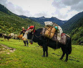 Merak-Sakteng Trek 