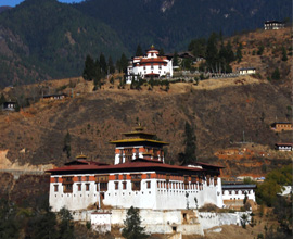 PARO 